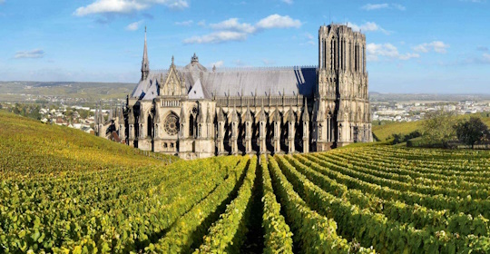 I vigneti dello Champagne